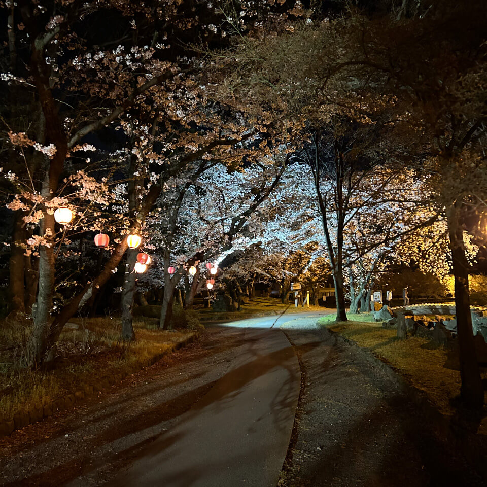 川中島古戦場三太刀桜まつり